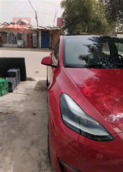 تسلا موديل Y